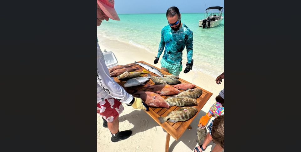 Spear-Fishing Bahamas - Key Points