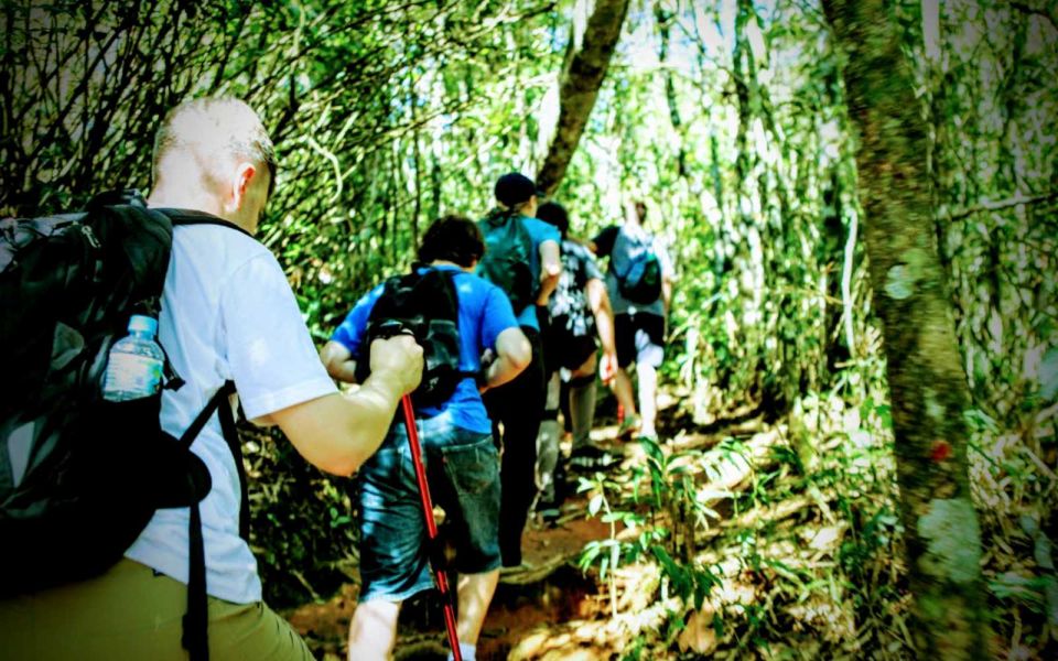 Tijuca National Park Small-Group Hike to Pedra Bonita - Key Points