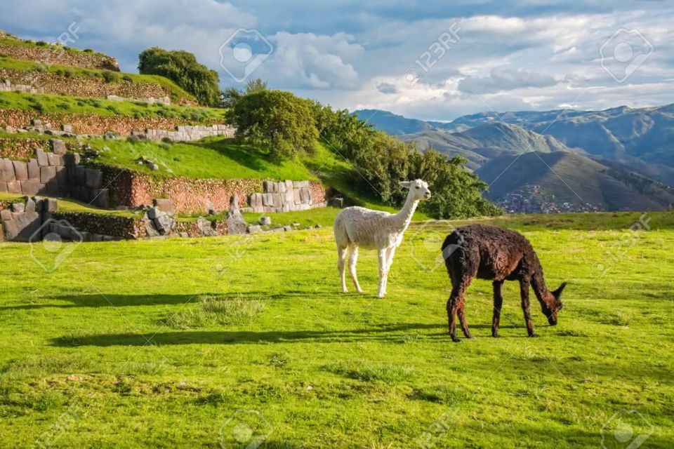 Tour Cusco 7Days 6nights | Machupicchu | Qeswachaka Bridge - Key Points