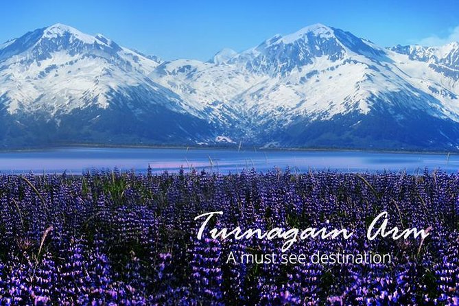 Turnagain Arm Tour: "A Must See Destination" - Key Points