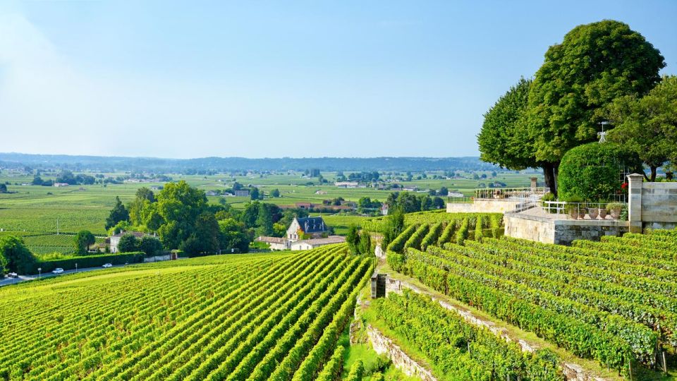 UNESCO Heritage and Wine Delights Private Tour From Bordeaux - Key Points