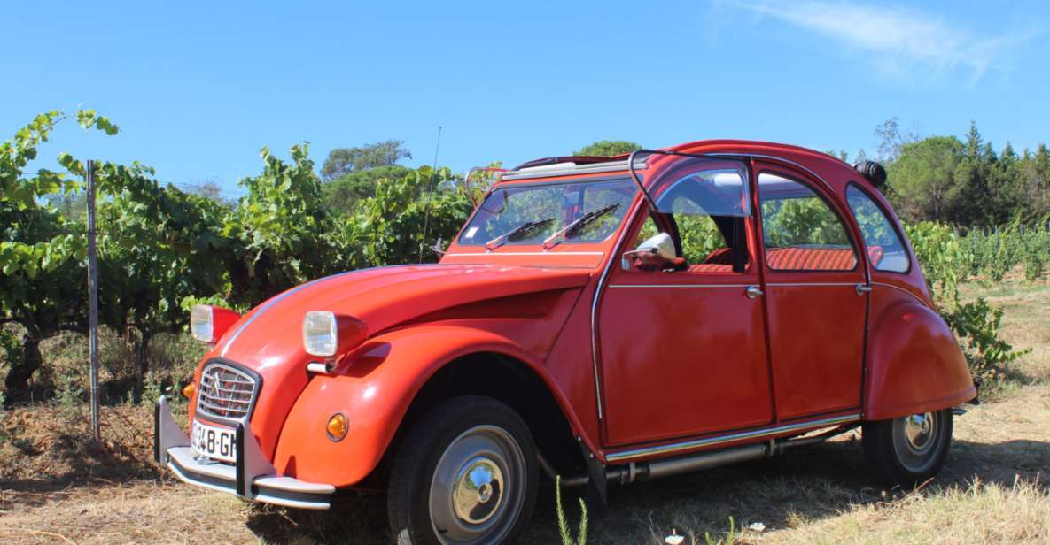 Vintage Wine Tour in Saint-Tropez - Key Points