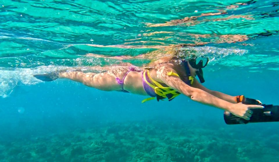 Waikiki: Monk Seal Bay Dolphin and Turtle Jet Snorkel Tour - Key Points