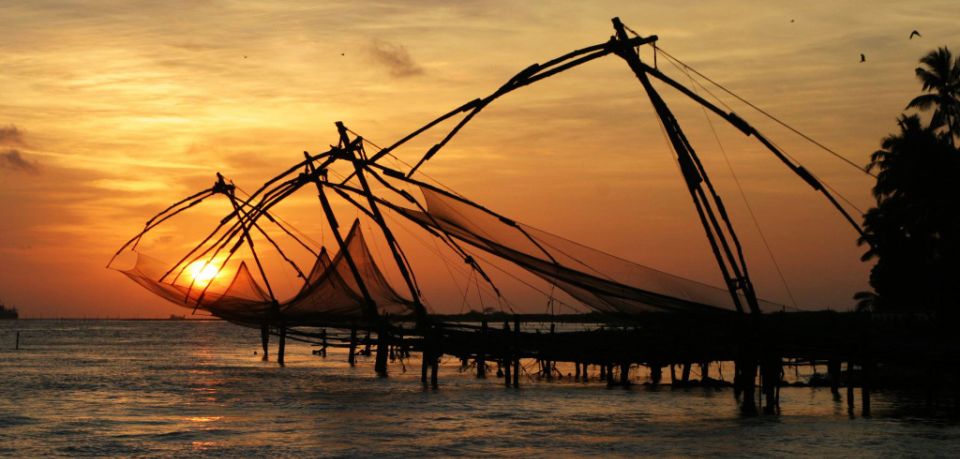 Backwater Houseboat and Fort Kochi Tour From Cochin Port - Tour Details