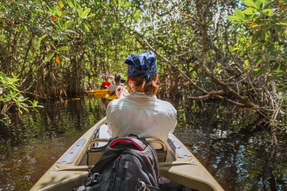 Everglades National Park: Mangrove Tunnel Kayak Eco-Tour - Tour Details