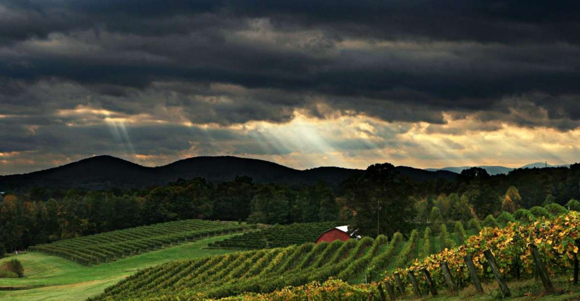 From Atlanta: North Georgia Wine Country Tour - Tour Details