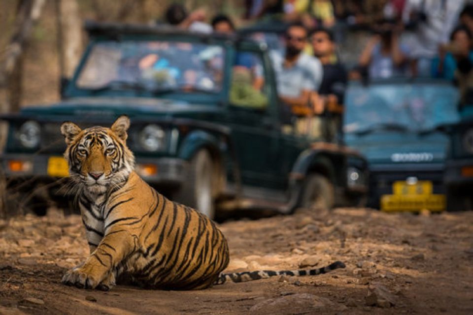 Jaipur City Tour With Ranthambore Tiger Safari - Tour Details