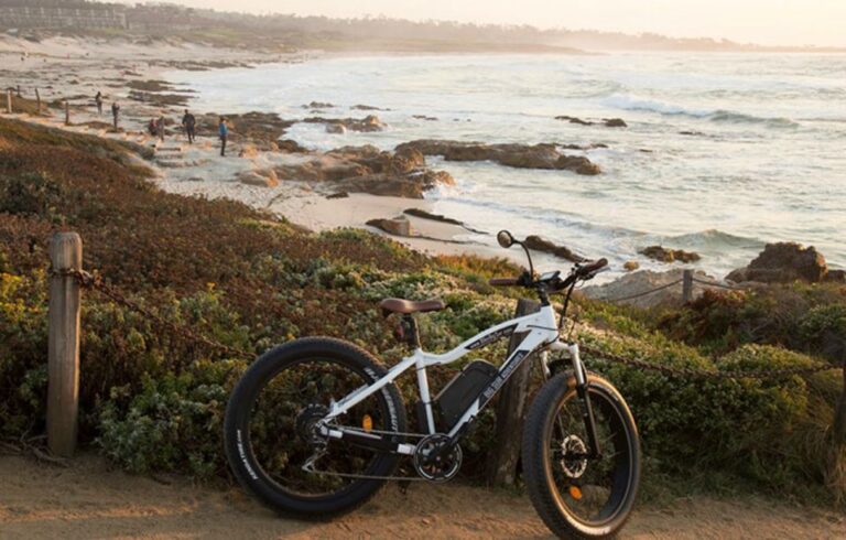 Monterey: 17-Mile Drive Guided E-Bike Tour