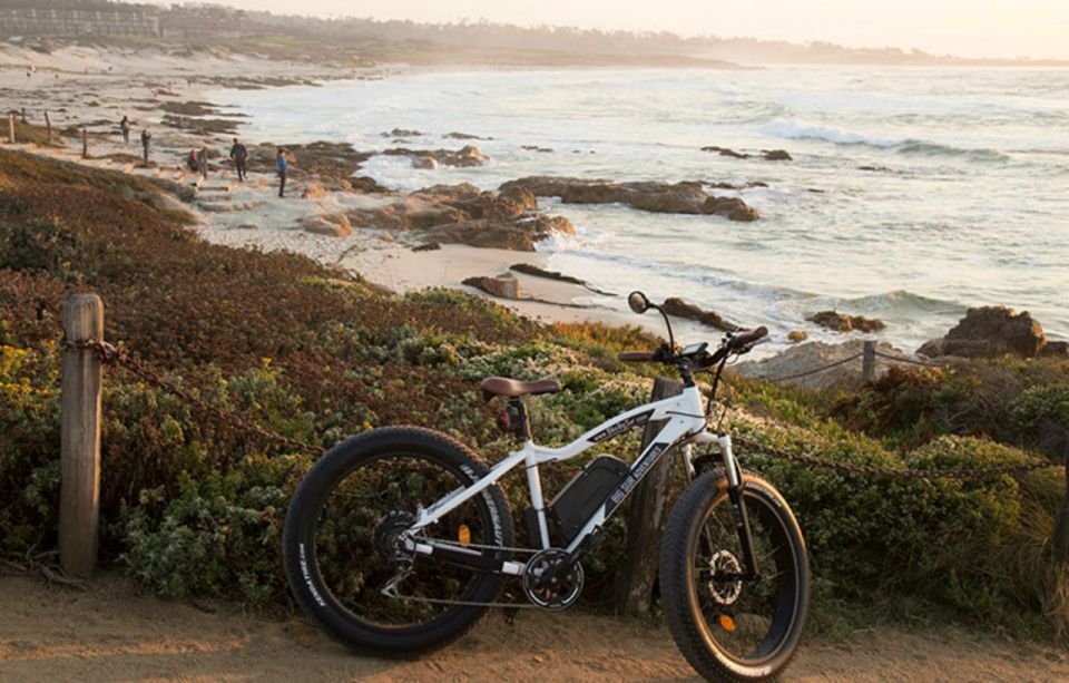 Monterey: 17-Mile Drive Guided E-Bike Tour - Tour Highlights