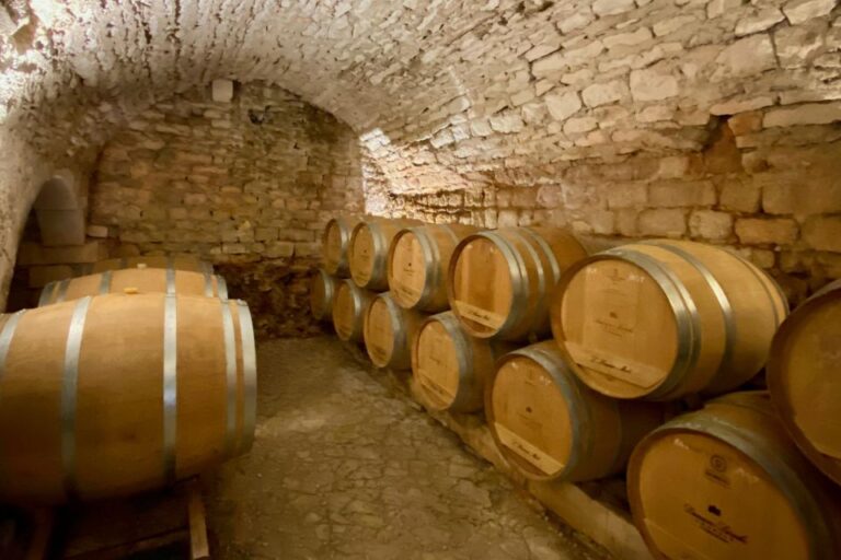 Private 15 Wine Tasting at Regnard, Brocard, Chateau Pommard