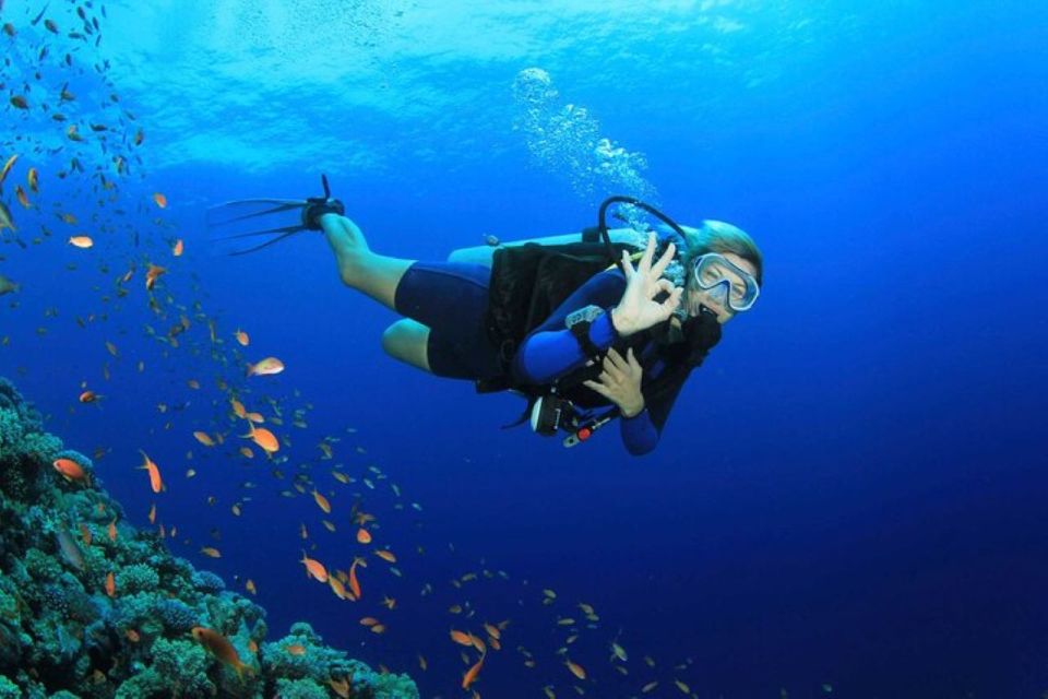 Roseau: Discover Scuba Diving Experience - Experience Details