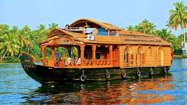 Same Day Backwater Cruise of Alleppey From Cochin