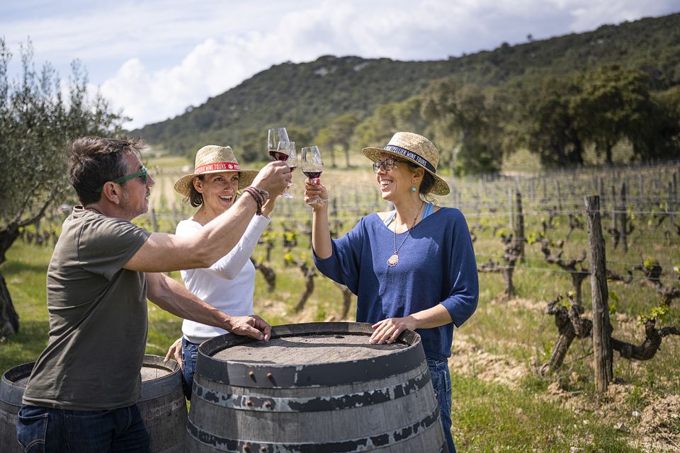 Sète: Private Half–Day Wine Tour - Tour Details