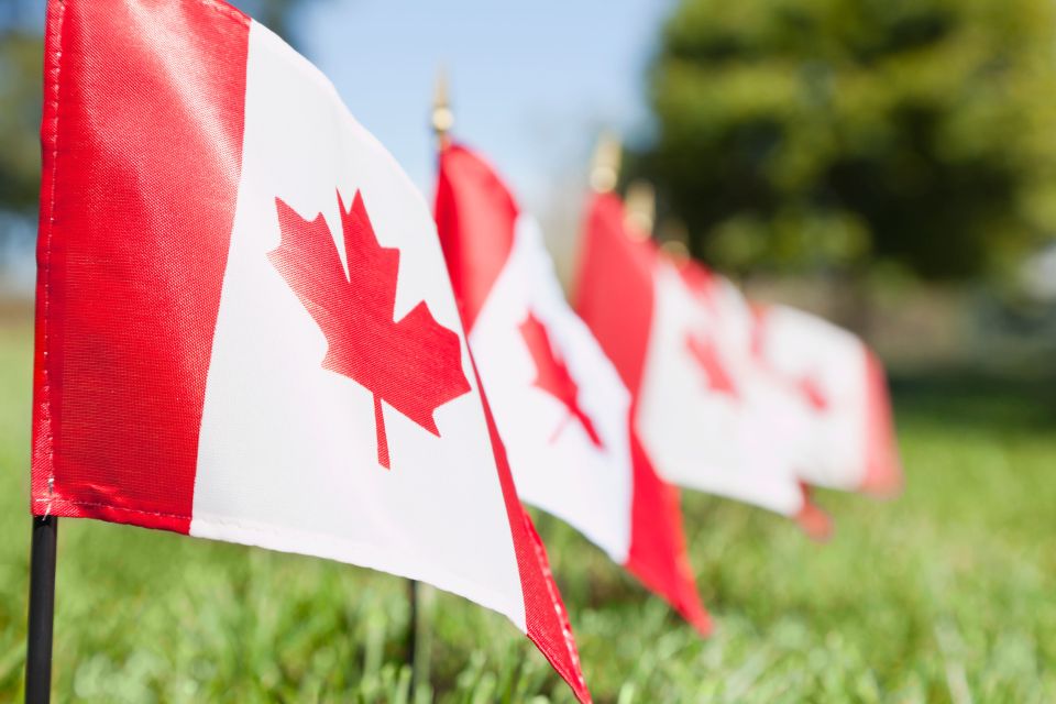 Small-Group Canadian Normandy D-Day Juno Beach From Paris - Tour Details