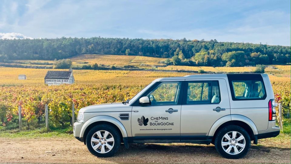 Small Group Full Day Tour in the Burgundy Vineyards - Itinerary Overview