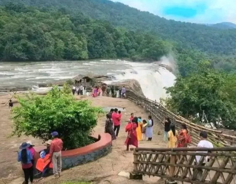 Waterfalls of Athirapply or Areekal Tour for 1 to 8 People.