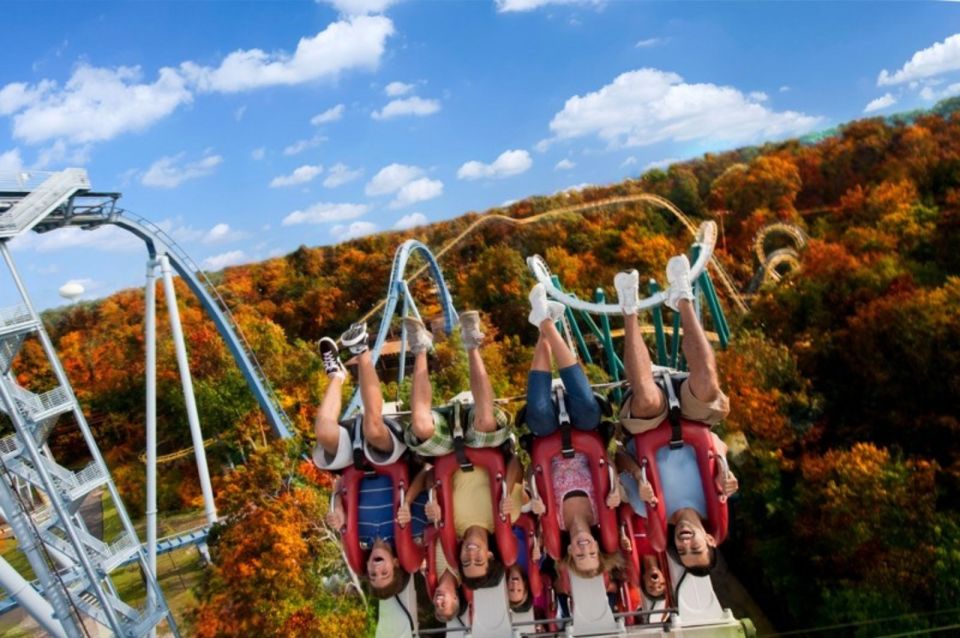 Williamsburg: Busch Gardens Ticket & Water Country Option - Visitor Experience