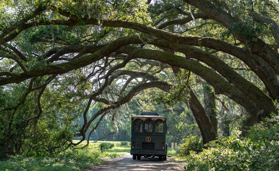 Charleston: Wadmalaw Island Wine Tasting and Tea Garden Trip - Includes