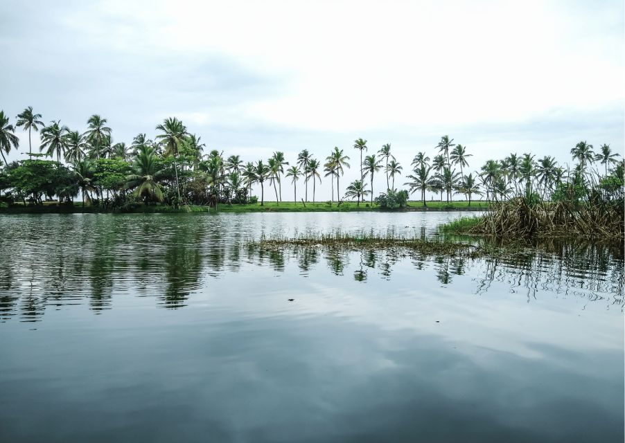 Day Trip to Varkala From Trivandrum (Guided Full Day Tour) - Itinerary