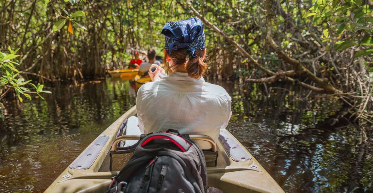 Everglades National Park: Mangrove Tunnel Kayak Eco-Tour - Booking Information
