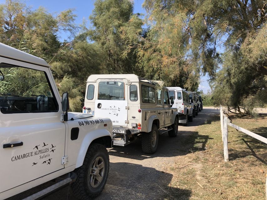 From Arles: Half-Day 4x4 Camargue Safari - Booking Information