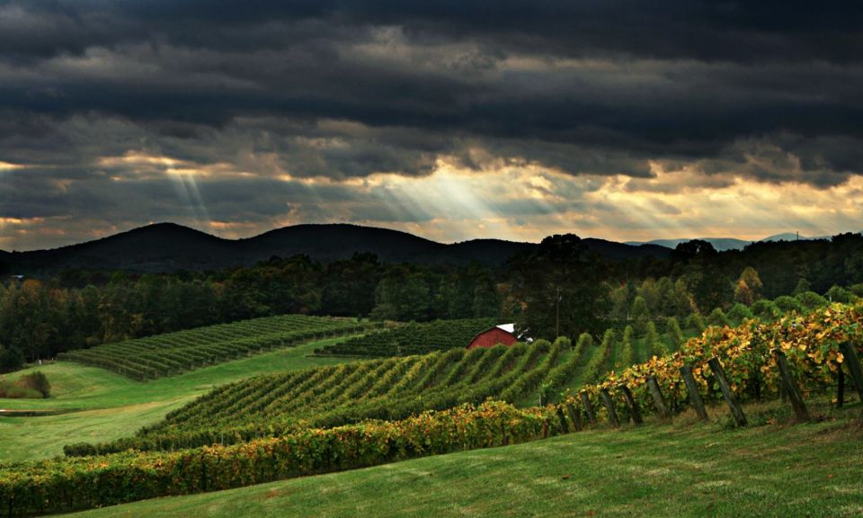 From Atlanta: North Georgia Wine Country Tour - Meeting Point