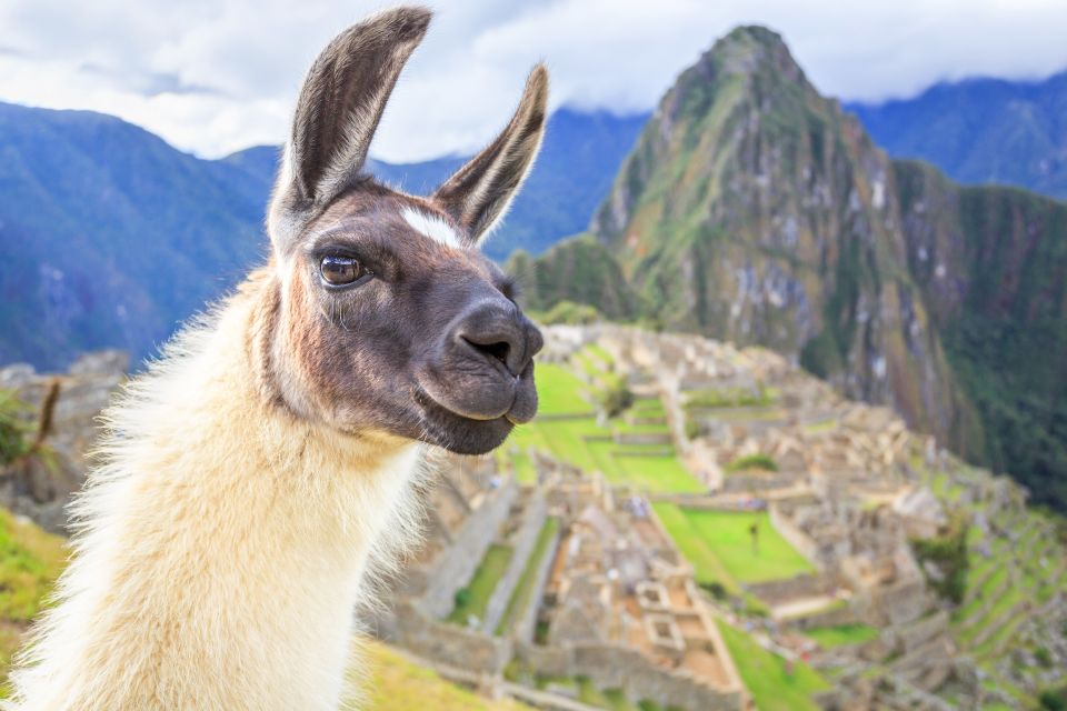 From Cusco: Machu Picchu and Sacred Valley 2-Day Tour - Activities