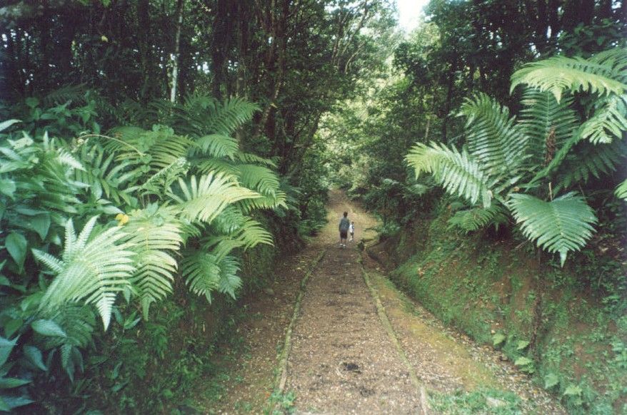 Grenada: Full-Day Tour With Chocolate and Rum Sampling - Booking Details and Pricing