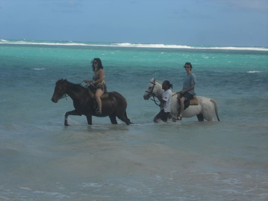 Guided Beach Horseback Riding, Dunns River Falls & Park - Includes