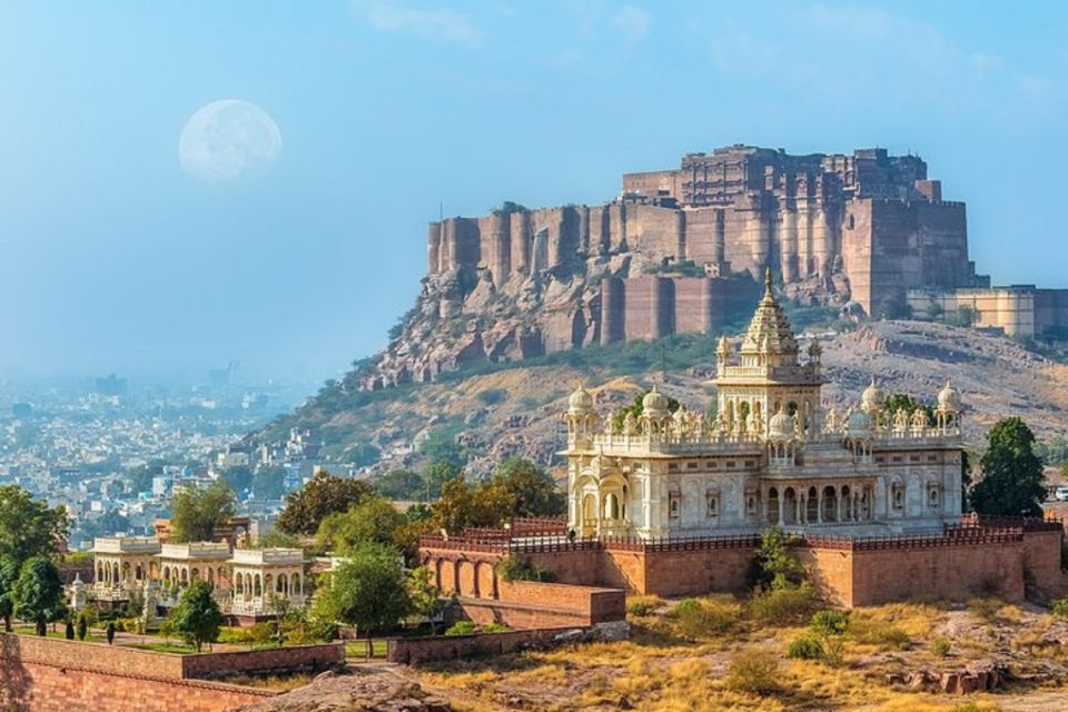 Jodhpur: Private Full-Day City Highlights Tour - Pricing Information