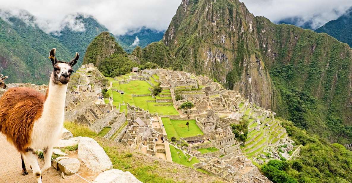 Machu Picchu: Full-Day Tour From Cusco With Optional Lunch - Experience Highlights