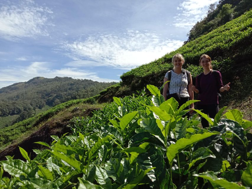 Munnar Tea Trek - Pricing and Cancellation Policy