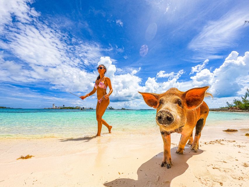 Nassau: Swimming Pigs, Snorkeling and Beach Boat Tour - Activity Description