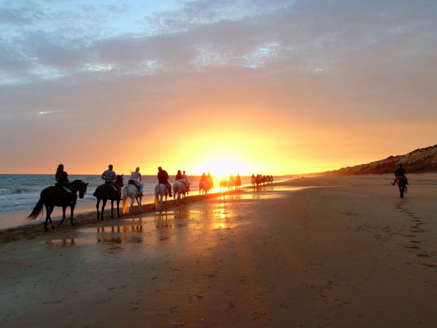 Puerto Plata: Sunset Beach Horseback Riding Tour - Customer Reviews