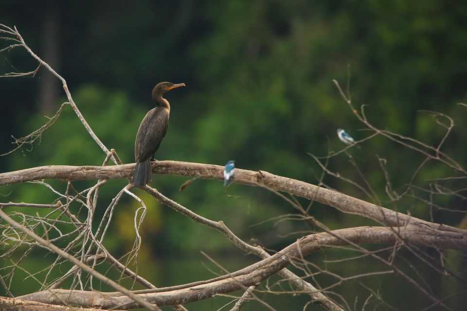 Sandoval Lake & Parrot Clay Lick 3 Days/2 Nights - Detailed Itinerary