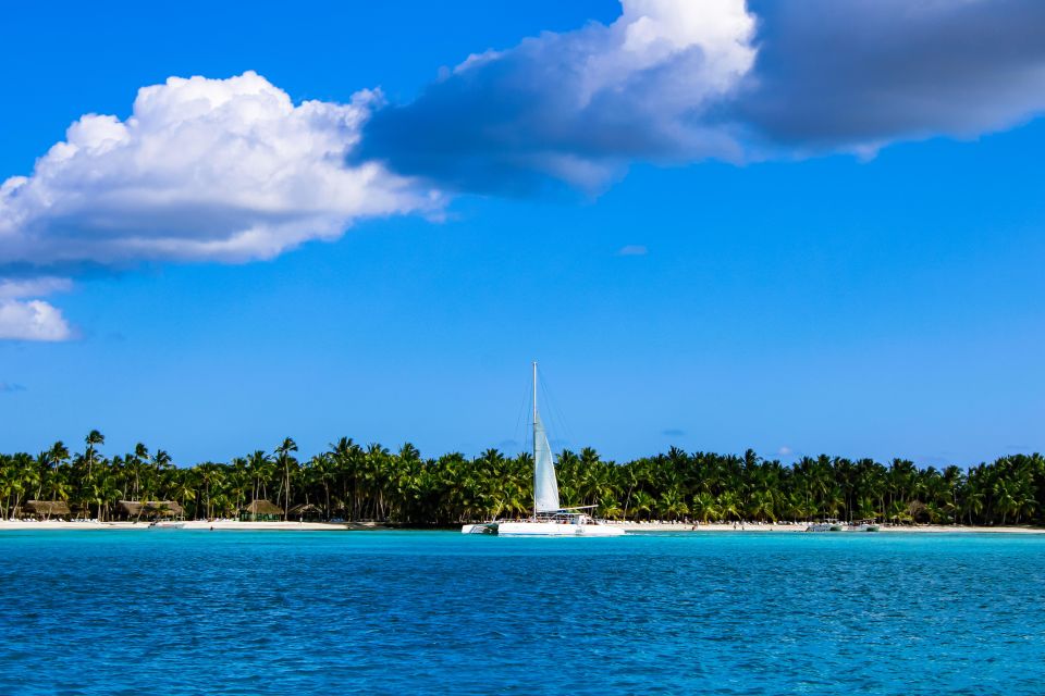 Saona Island Day Trip + Lunch + Open Bar From Punta Cana - Experience