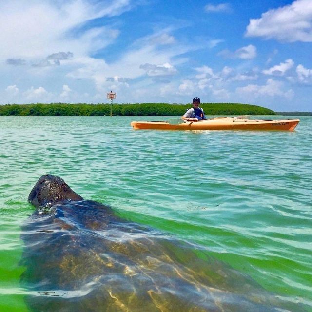 St Pete & St Pete Beach: Coastal Kayak Charters - Inclusions and Restrictions