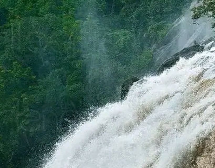 Waterfalls of Athirapply or Areekal Tour for 1 to 8 People. - Activity Description