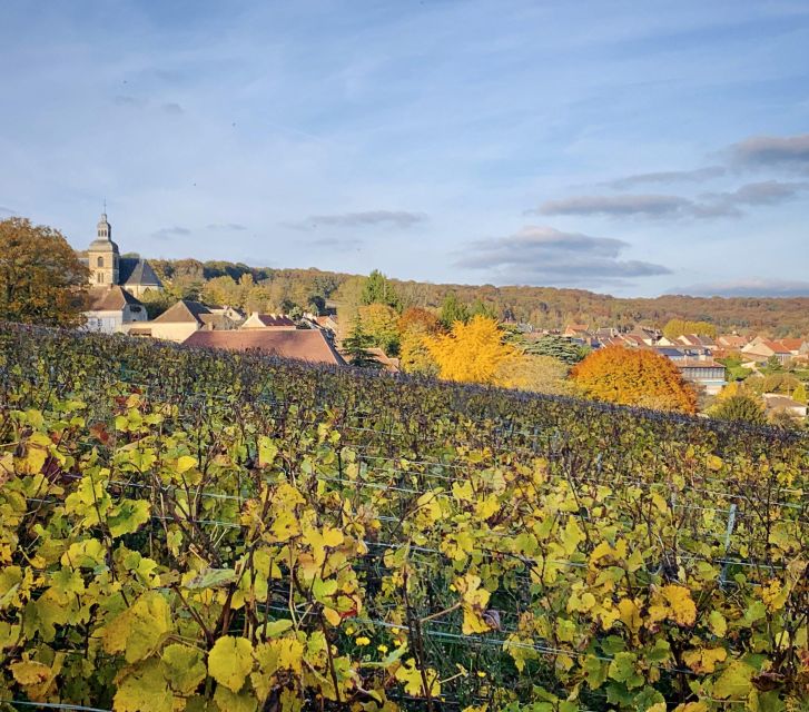 Champagne Tasting in Reims ! - Highlights of the Tour