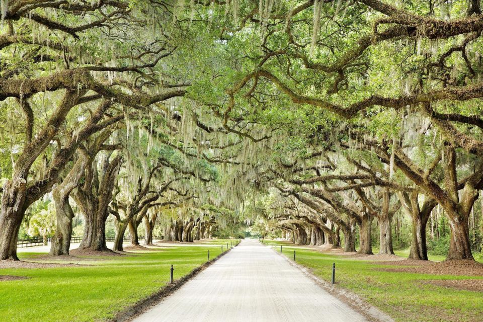 Charleston: Tour Pass With 40+ Attractions - Tour Pass Duration and Cancellation Policy