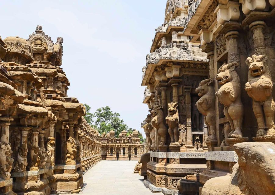 Day Trip to Kanchipuram (Guided Experience From Chennai) - Important Information