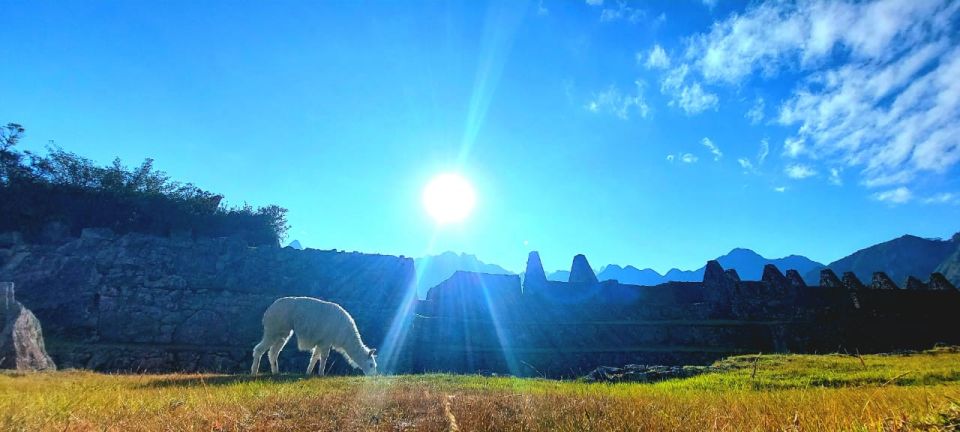 From Cusco: Machu Picchu Tour With Hiking Ticket - Inclusions