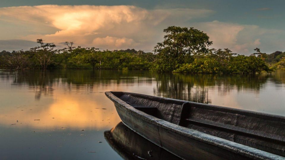 From Iquitos: Full Day Wonderful Wildlife - Itinerary