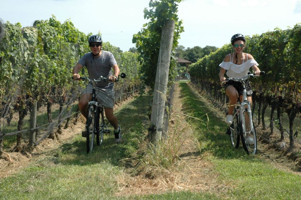 From Mattituck: North Fork Area Bike Tour With Food Tasting - Inclusions