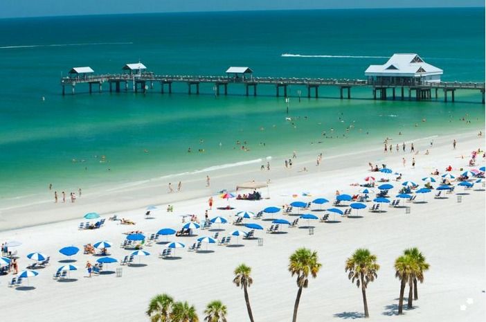 From Orlando: Clearwater Beach and Marine Aquarium Admission - Important Information