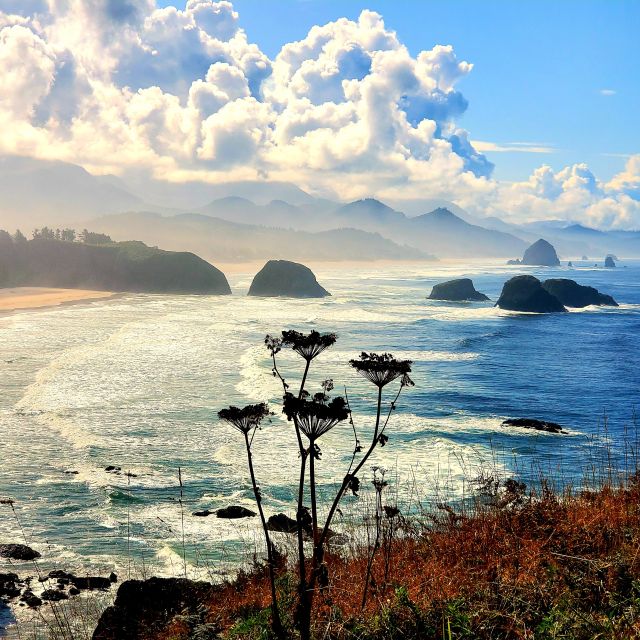 From Portland: Oregon Coast Adventure Day Tour With Pickup - Itinerary