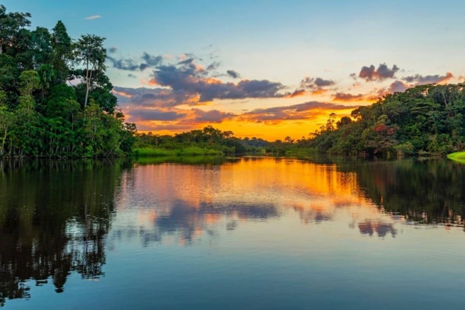 Iquitos: Amazon Jungle in 2 Days: Adventure and Expedition - Day 2: Unforgettable Encounters in the Amazon