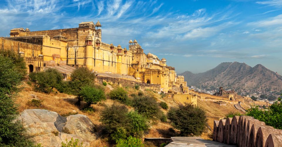 Jaipur: Private City Tour With Optional Buffet and Tickets - Duration and Accessibility