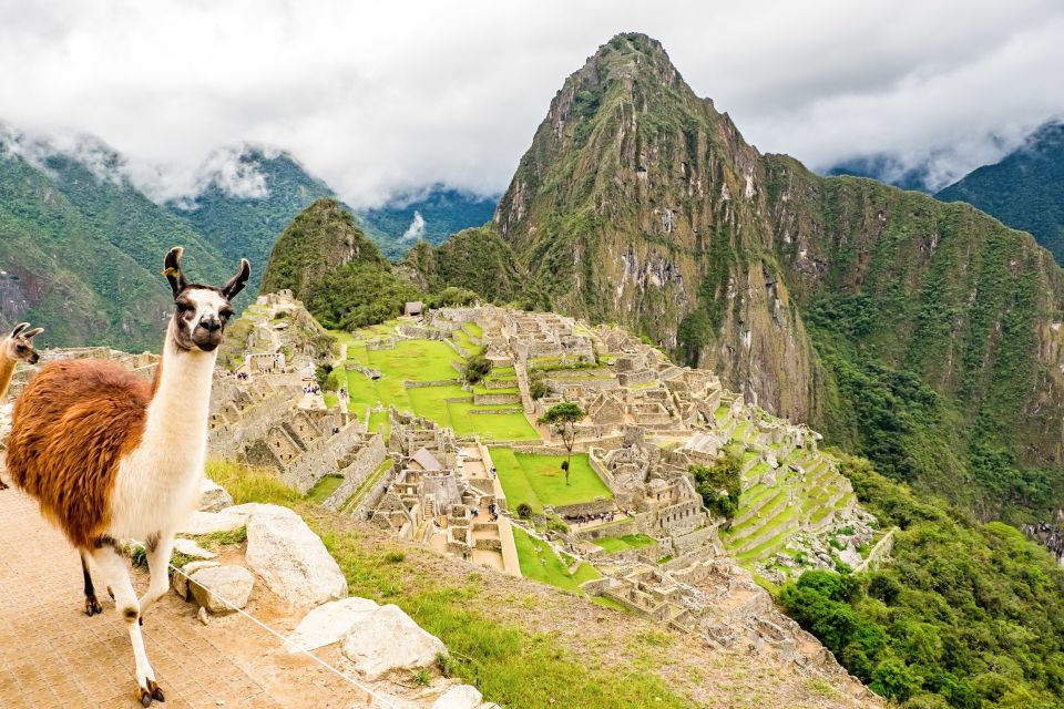 Machu Picchu: Full-Day Tour From Cusco With Optional Lunch - Full Description