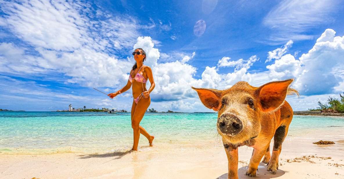 Nassau: Swimming Pigs, Snorkeling and Beach Boat Tour - Reservation